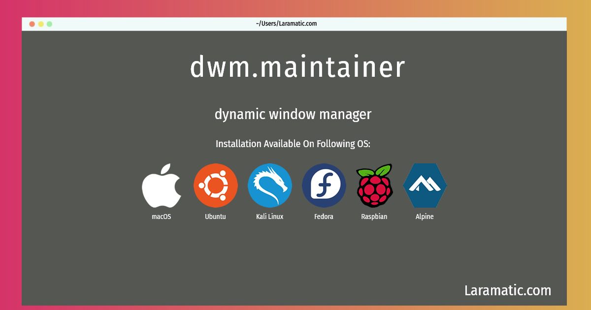 dwm maintainer