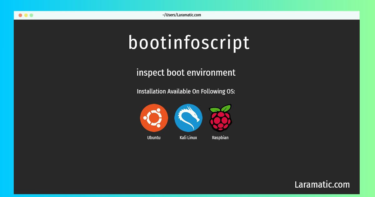 bootinfoscript