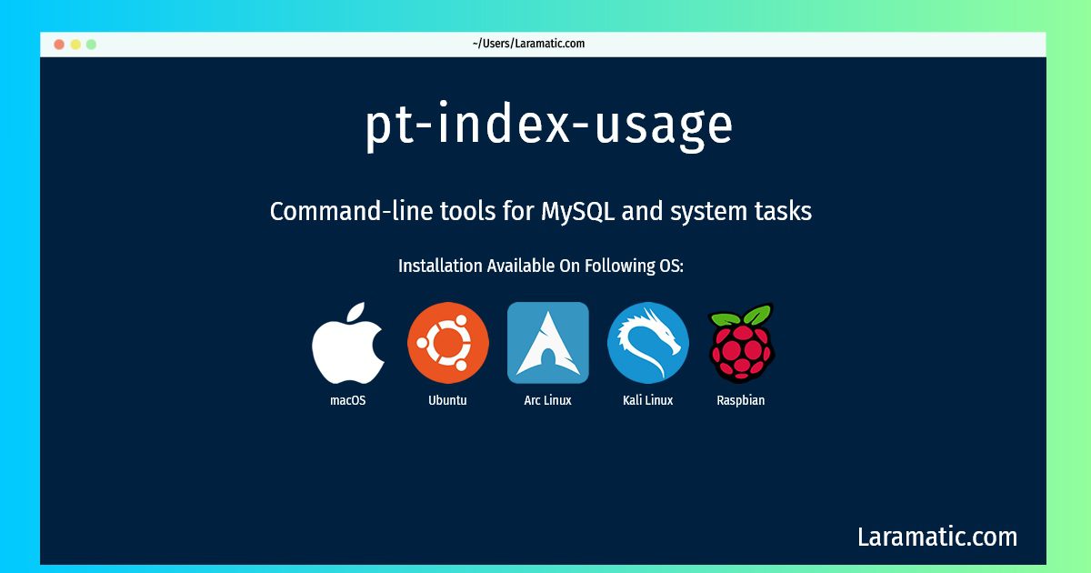 pt index usage