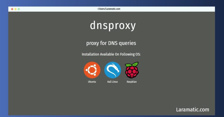 dnsproxy
