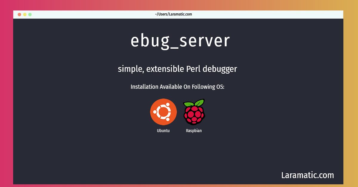 ebug server