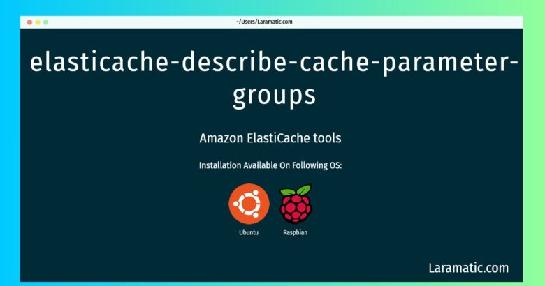 elasticache describe cache parameter groups
