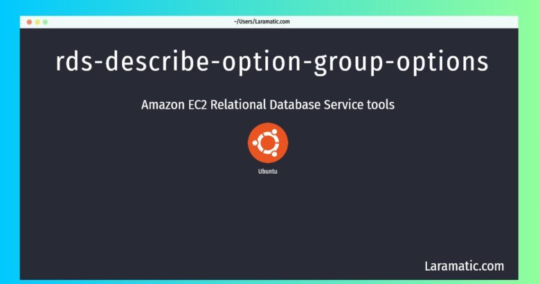 rds describe option group options