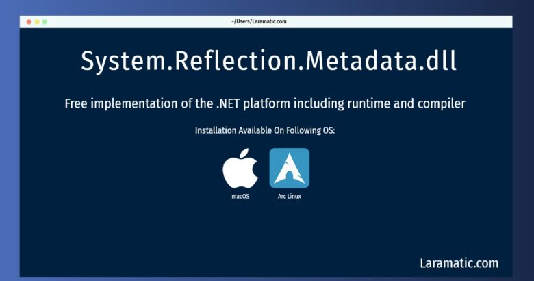 system reflection metadata dll