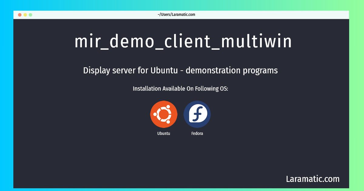 mir demo client multiwin