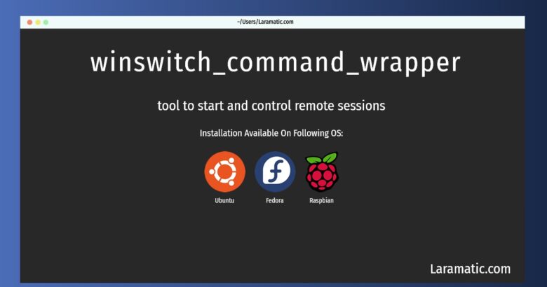 winswitch command wrapper