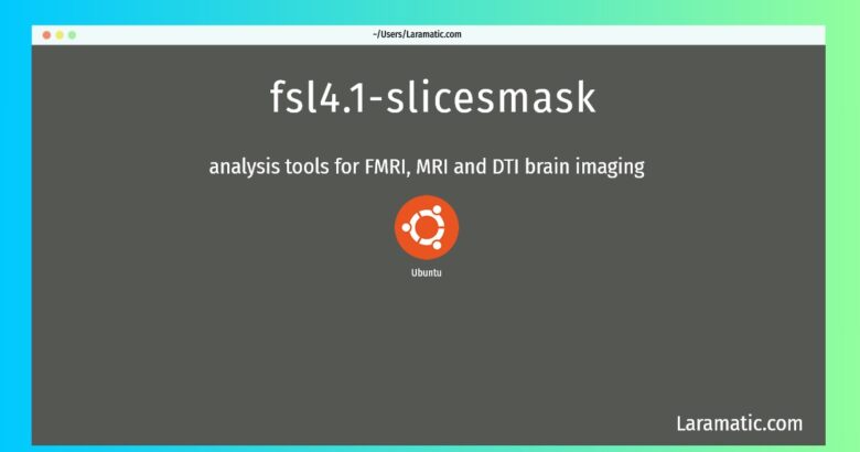 fsl4 1 slicesmask